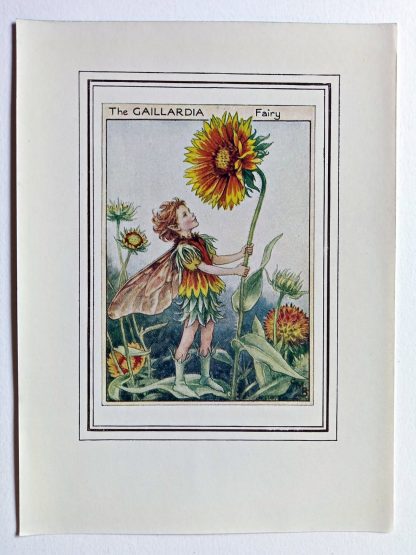 Gaillardia Fairy Print
