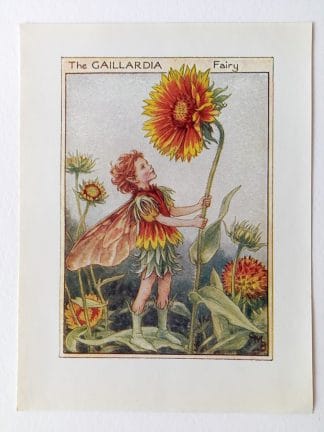 Gaillardia Flower Fairy Print