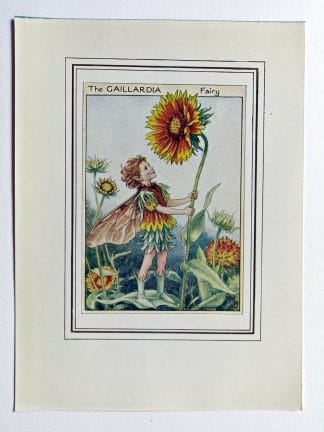 Gaillardia Vintage Fairy Print