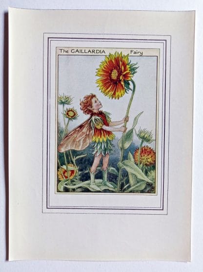 Gaillardia Vintage Flower Fairy Print