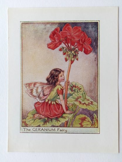 Geranium Flower Fairy Print