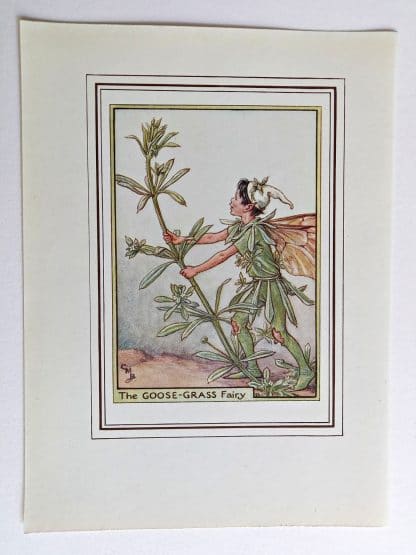 Goose Grass Fairies Print