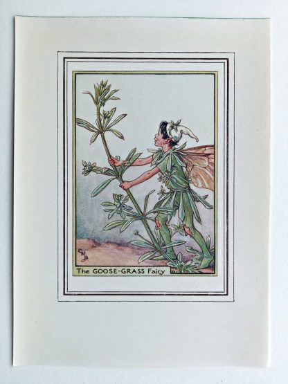 Goose Grass Fairy Print