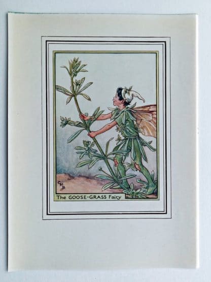 Goose Grass Vintage Fairy Print