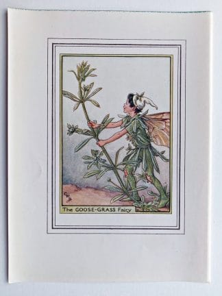 Goose Grass Vintage Flower Fairy Print