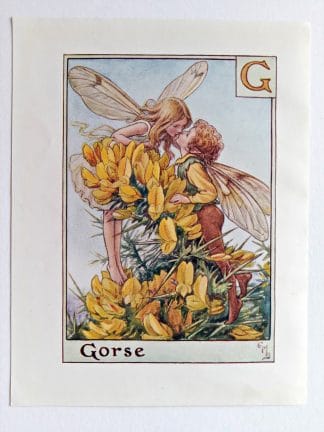 Gorse Fairy Print