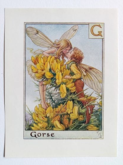 Gorse Flower Fairy Print