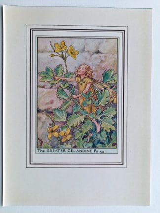 Greater Celandine Fairies Print