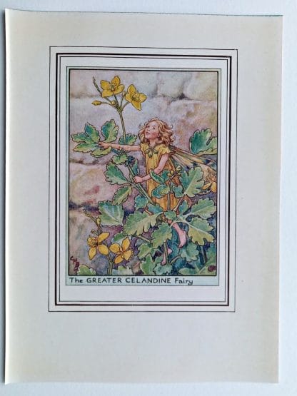 Greater Celandine Fairies Print