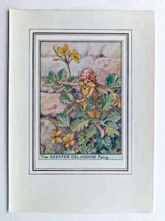 Greater Celandine Fairy Print