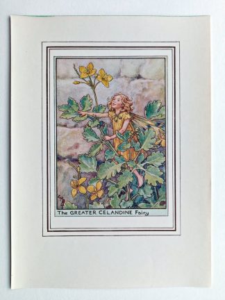 Greater Celandine Vintage Fairy Print