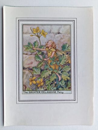 Greater Celandine Vintage Flower Fairy Print