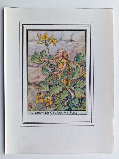 Greater Celandine Vintage Flower Fairy Print