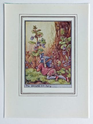 Ground Ivy Fairies Print