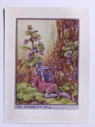 Ground Ivy Flower Fairy Print