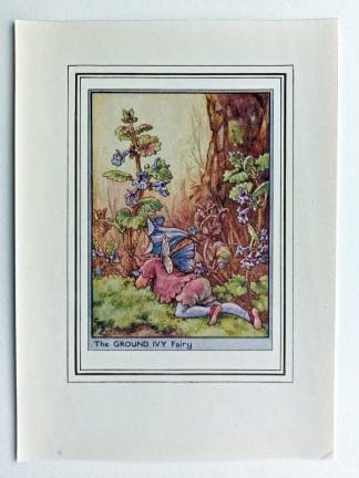 Ground Ivy Vintage Flower Fairy Print