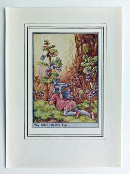 Ground Ivy Vintage Flower Fairy Print