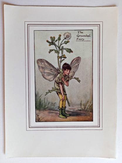 Groundsel Fairies Print