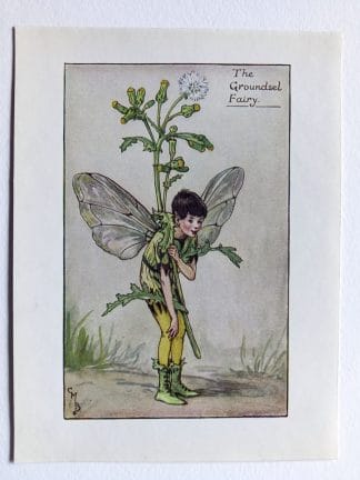 Groundsel Flower Fairy Print