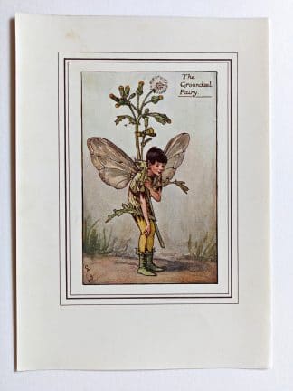 Groundsel Vintage Fairy Print