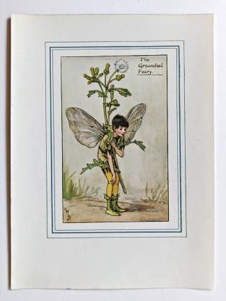 Groundsel Vintage Flower Fairy Print