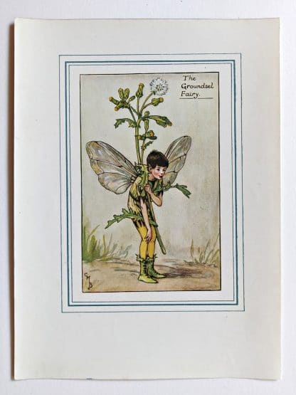 Groundsel Vintage Flower Fairy Print