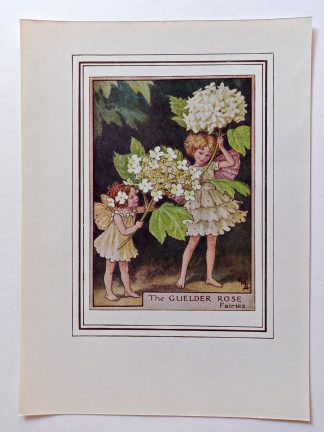 Guelder Rose Vintage Fairy Print