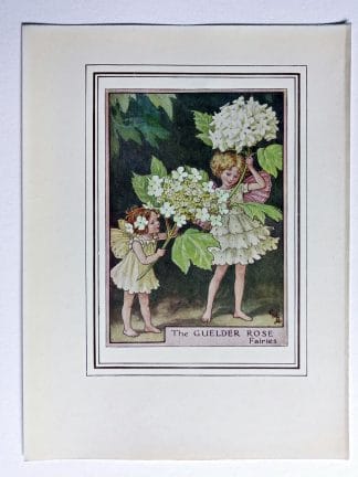 Guelder Rose Vintage Flower Fairy Print