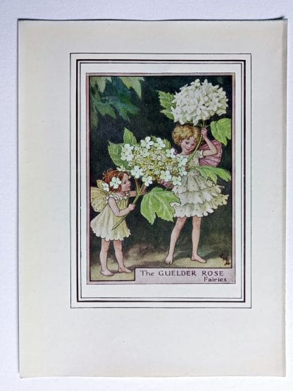 Guelder Rose Vintage Flower Fairy Print