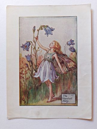 Harebell Fairies Print