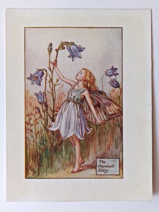 Harebell Flower Fairy Print