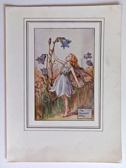 Harebell Vintage Flower Fairy Print