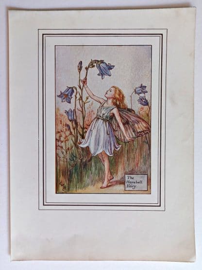 Harebell Vintage Flower Fairy Print