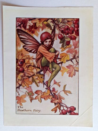 Hawthorn Fairies Print