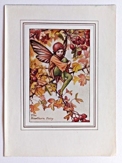 Hawthorn Fairy Print