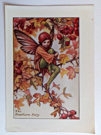 Hawthorn Vintage Fairy Print