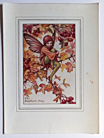 Hawthorn Vintage Flower Fairy Print
