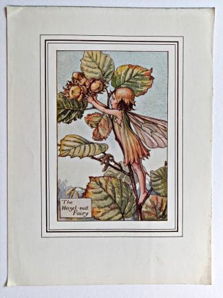 Hazelnut Flower Fairy Print