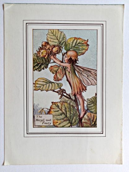 Hazelnut Flower Fairy Print
