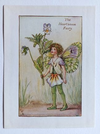 Heartsease Flower Fairy Print