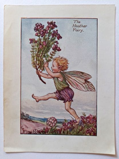 Heather Fairies Print