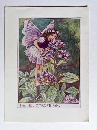 Heliotrope Fairies Print