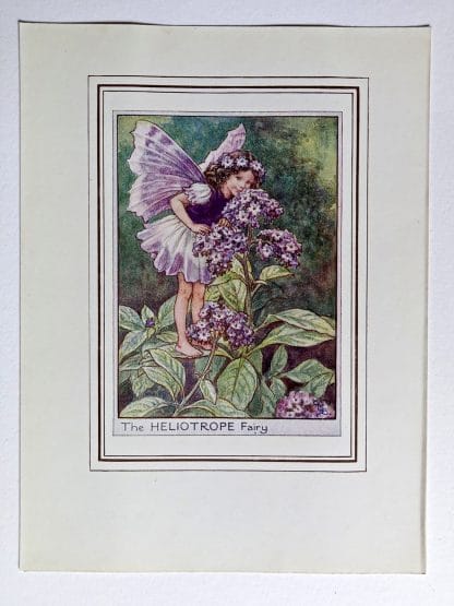 Heliotrope Fairy Print
