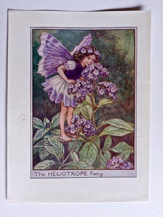 Heliotrope Vintage Fairy Print