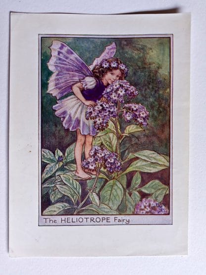 Heliotrope Vintage Fairy Print