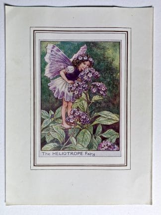 Heliotrope Vintage Flower Fairy Print