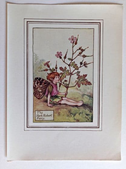 Herb Robert Fairies Print