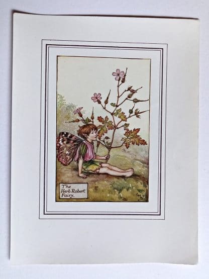 Herb Robert Fairy Print