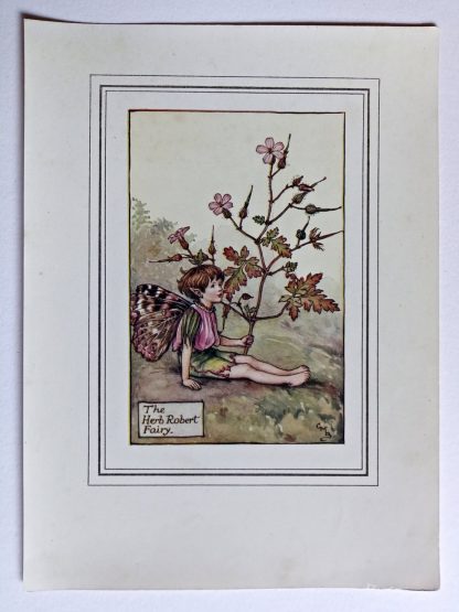 Herb Robert Vintage Fairy Print