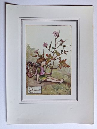 Herb Robert Vintage Flower Fairy Print